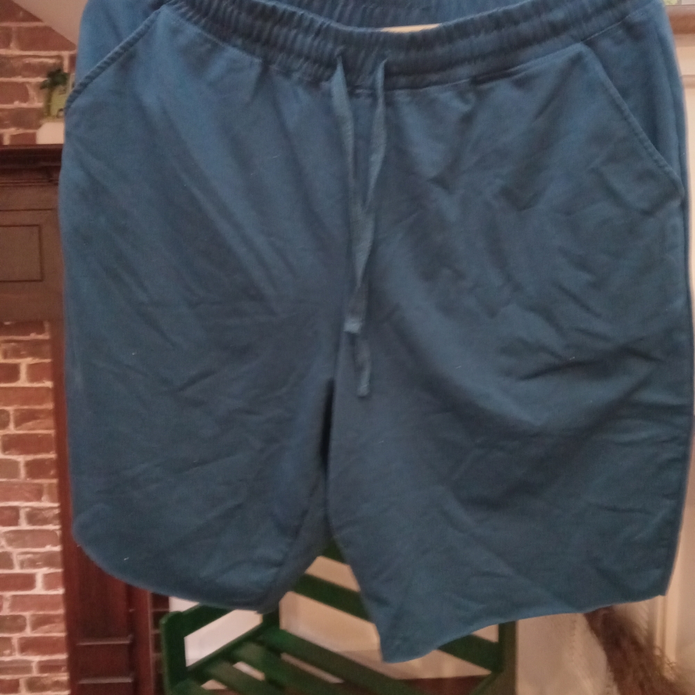 LuLaRoe Men's Athletic Blue Shorts